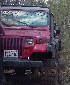 On the trail